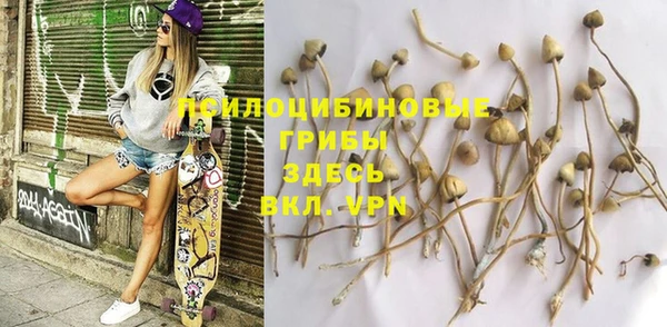 ГАЛЛЮЦИНОГЕННЫЕ ГРИБЫ Бородино