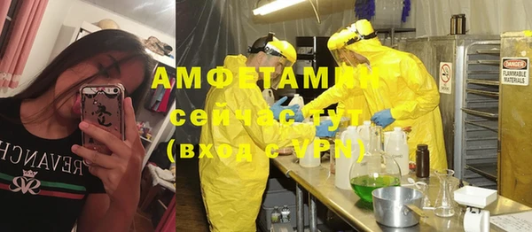 ГАЛЛЮЦИНОГЕННЫЕ ГРИБЫ Бородино