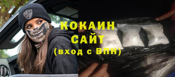 ГАЛЛЮЦИНОГЕННЫЕ ГРИБЫ Бородино
