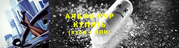 ГАЛЛЮЦИНОГЕННЫЕ ГРИБЫ Бородино