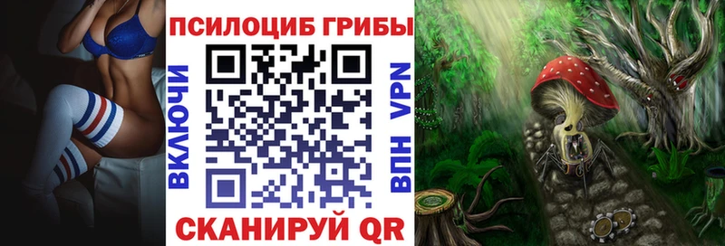 Галлюциногенные грибы MAGIC MUSHROOMS  Купить  Дрезна 